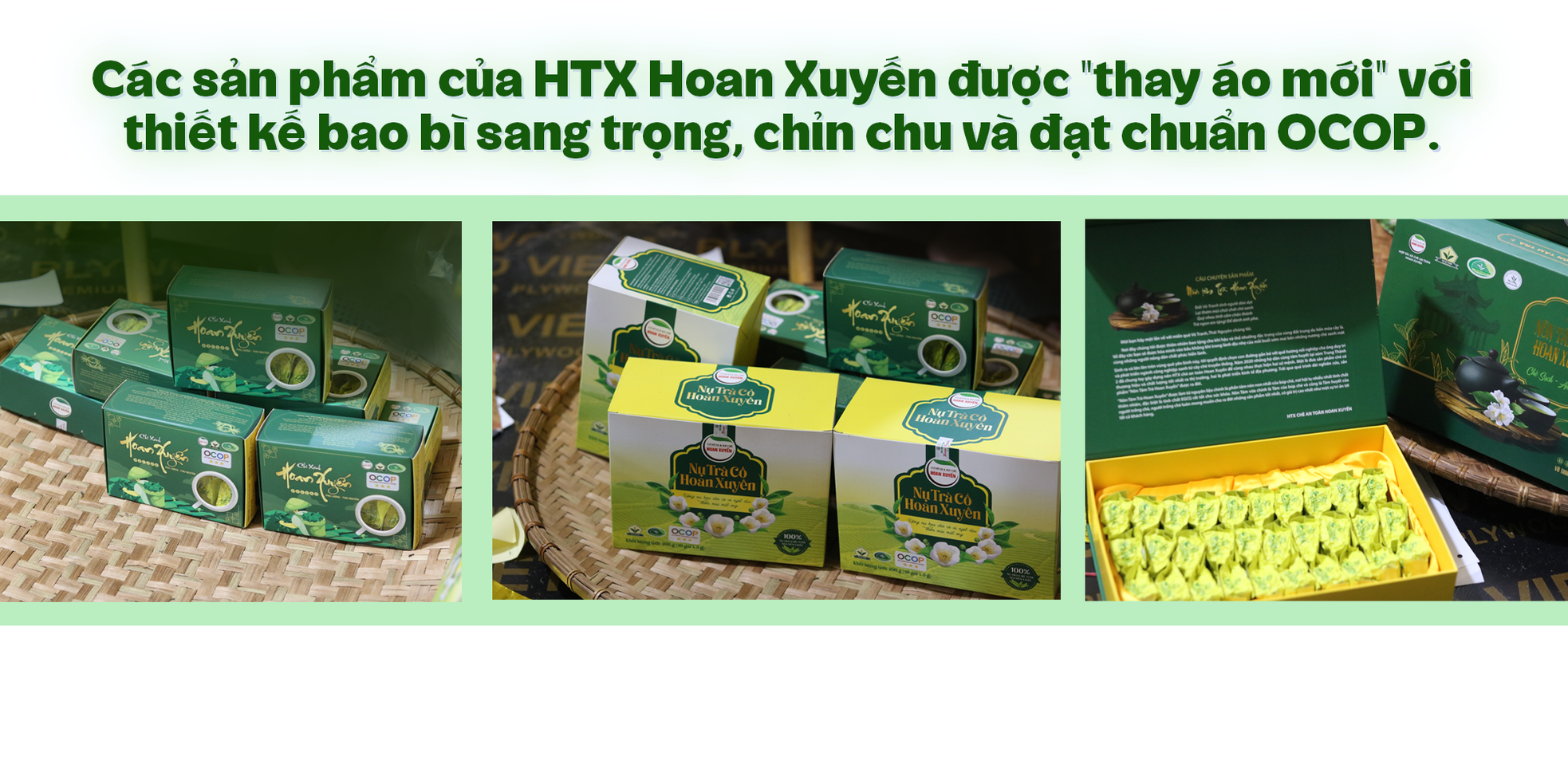 Giữ lửa, góp sương: Hành trình của lá trà truyền thống vươn ra thế giới ảnh 7