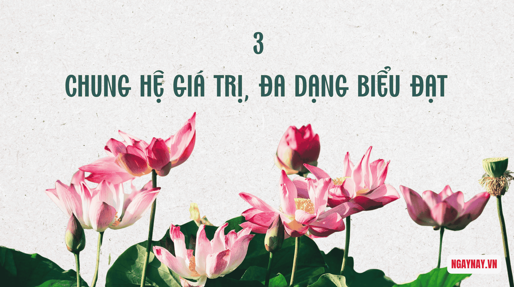 Hà Nội bước vào không gian phát triển mới - Kỳ III: Chân dung "Người Hà Nội" thời đại mới ảnh 6