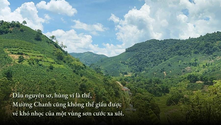 Hoa trên triền núi ảnh 1