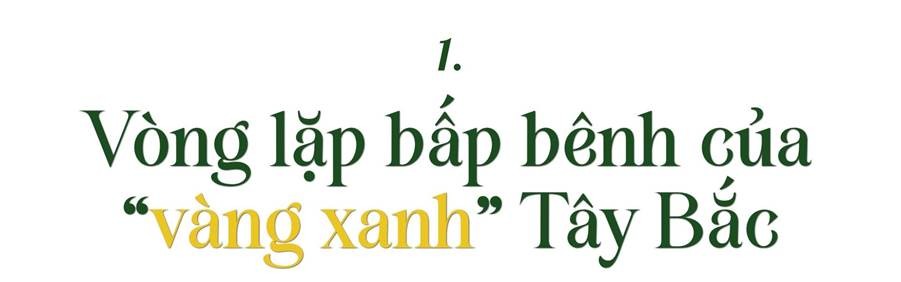 Hoa trên triền núi ảnh 2