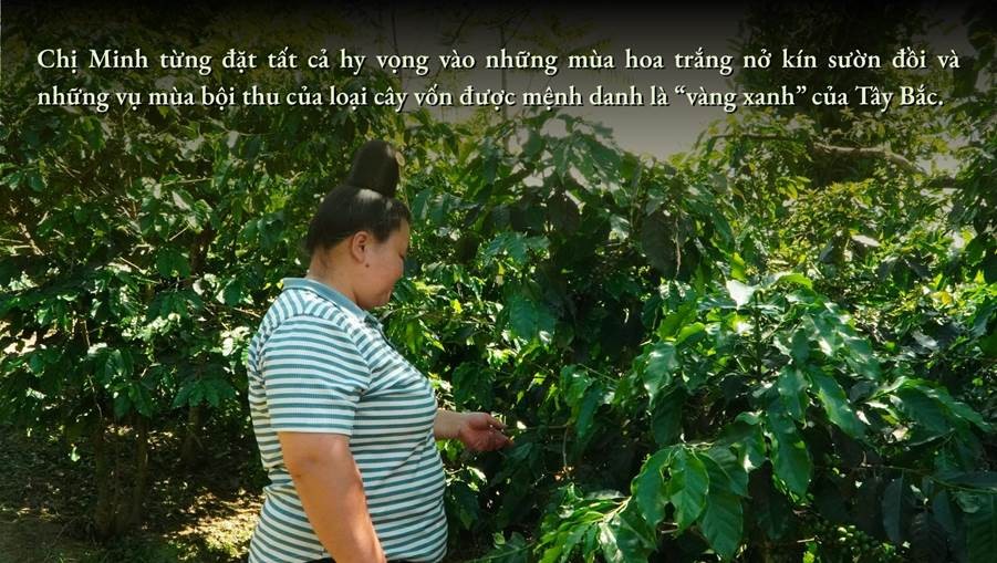 Hoa trên triền núi ảnh 3