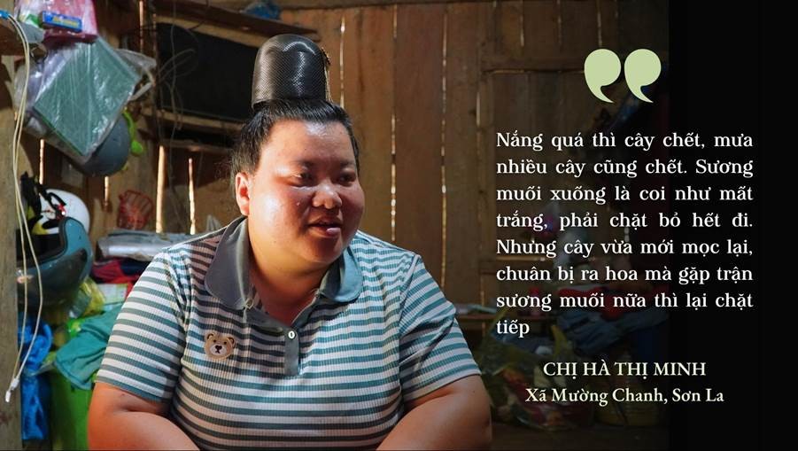 Hoa trên triền núi ảnh 4