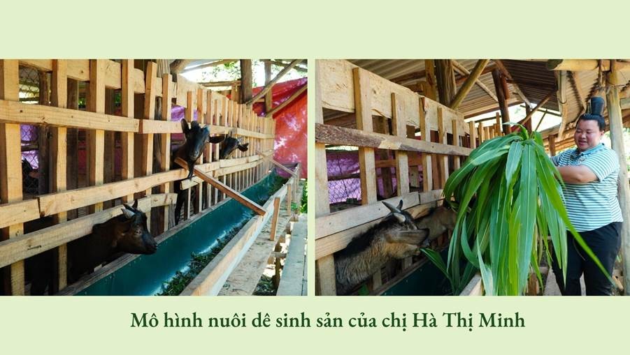 Hoa trên triền núi ảnh 6