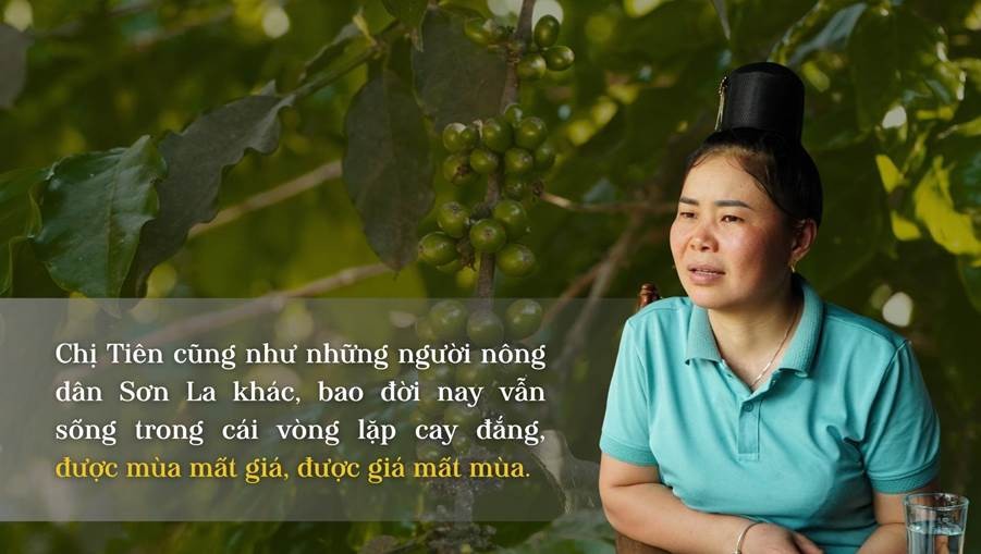 Hoa trên triền núi ảnh 9