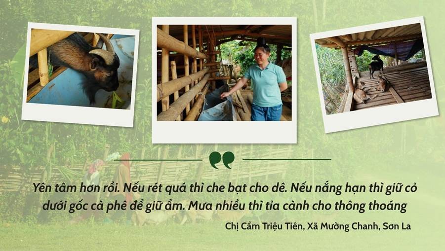Hoa trên triền núi ảnh 10