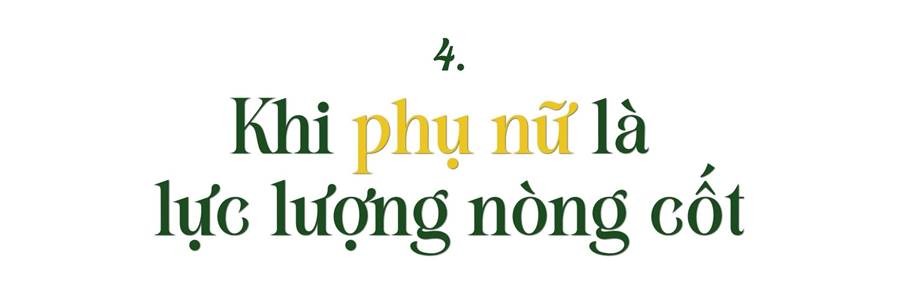 Hoa trên triền núi ảnh 11