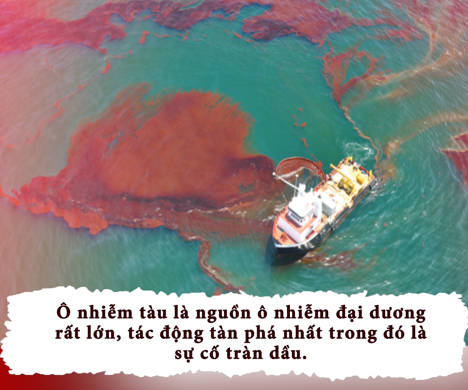 Con người đang 'bức tử' đại dương ảnh 7