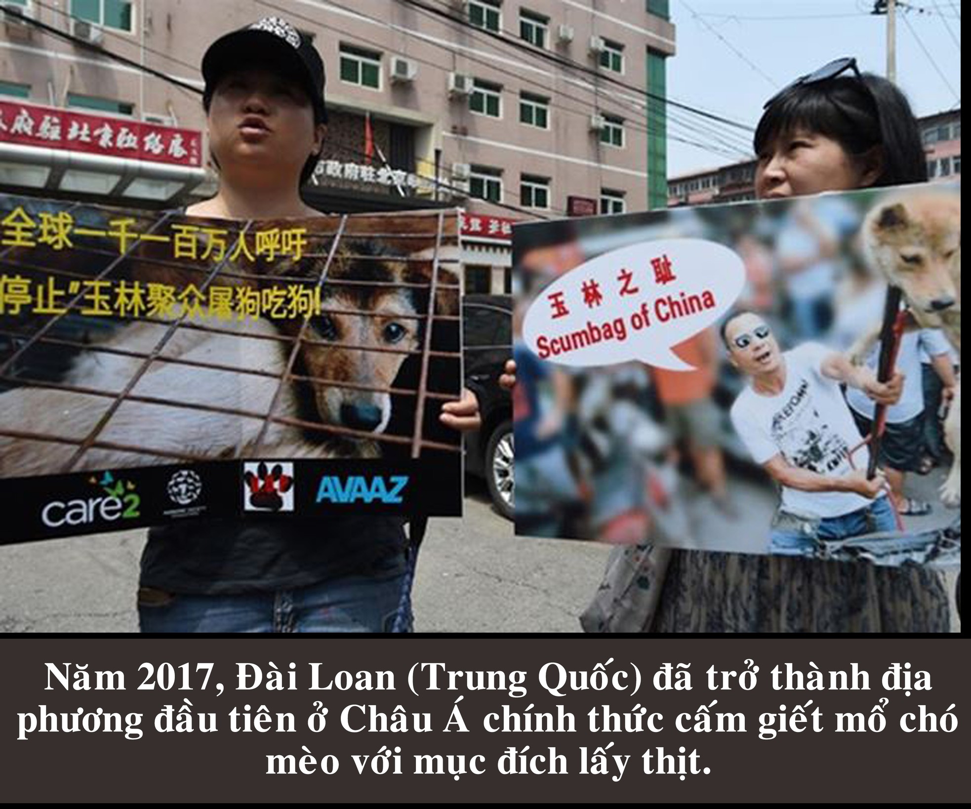 Cuộc xung đột thịt chó ảnh 9