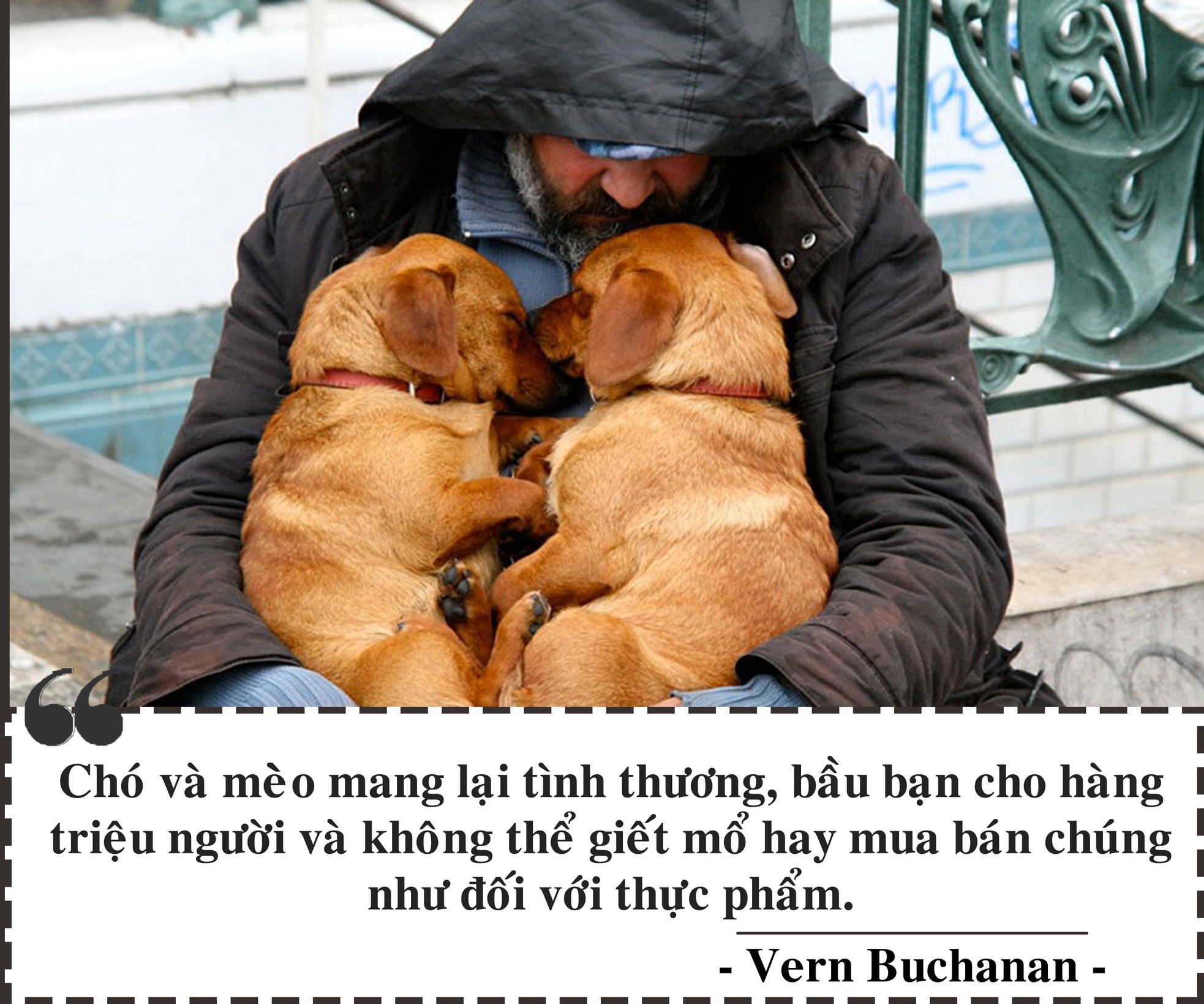 Cuộc xung đột thịt chó ảnh 3