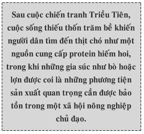 Cuộc xung đột thịt chó ảnh 6