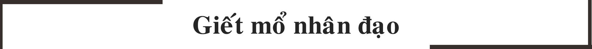 Cuộc xung đột thịt chó ảnh 8