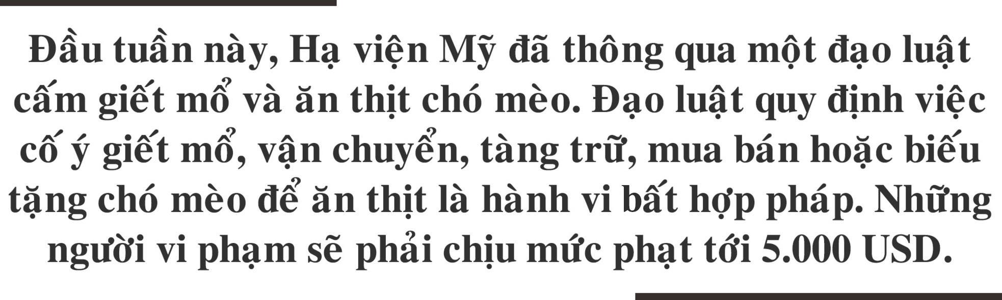 Cuộc xung đột thịt chó ảnh 2