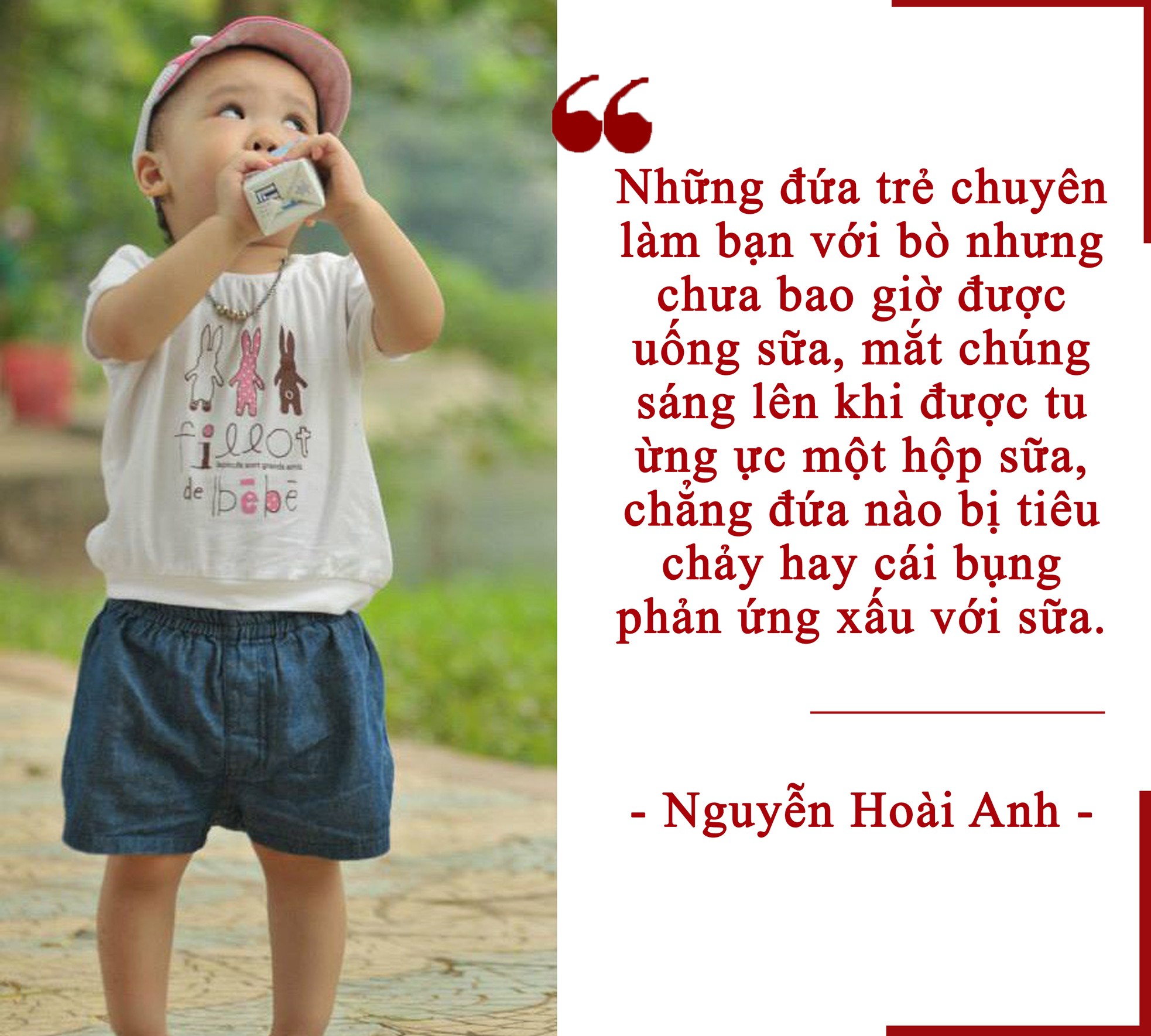 Sữa học đường: Vì học sinh hay vì phụ huynh ảnh 3