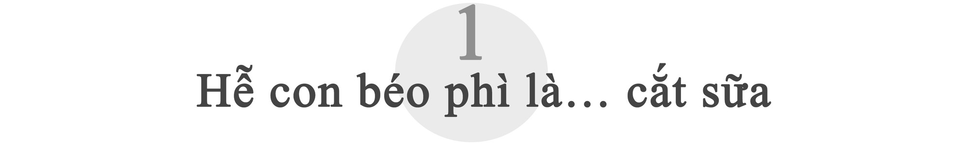 Sữa không xấu ảnh 3