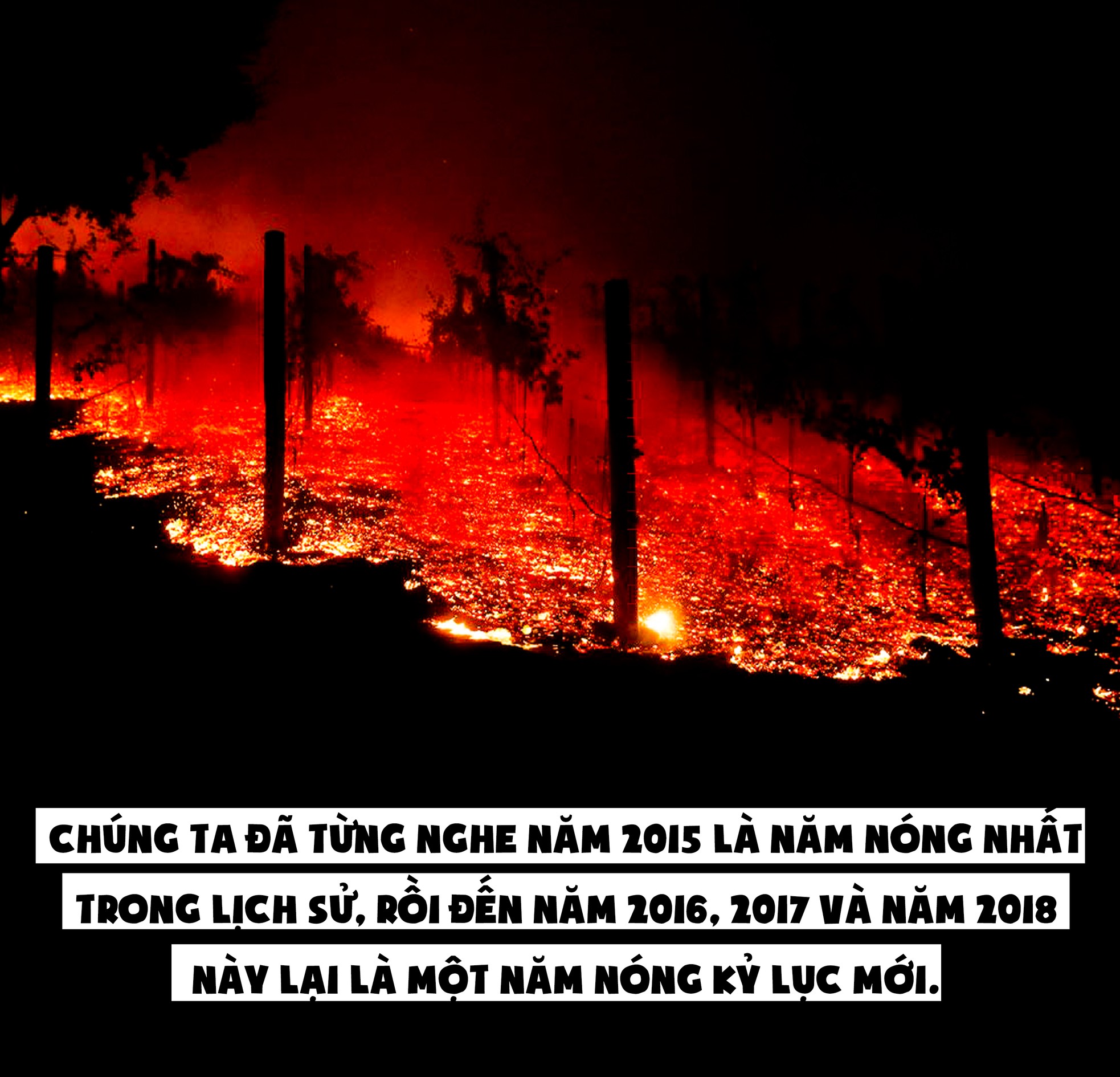 Nước Mỹ 'chật vật' vì biến đổi khí hậu ảnh 1