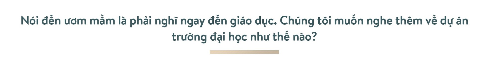 Ông Phạm Nhật Vượng: Thế giới phải biết Việt Nam trí tuệ, đẳng cấp ảnh 16