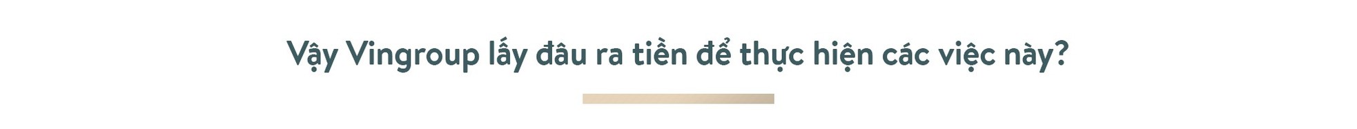 Ông Phạm Nhật Vượng: Thế giới phải biết Việt Nam trí tuệ, đẳng cấp ảnh 21