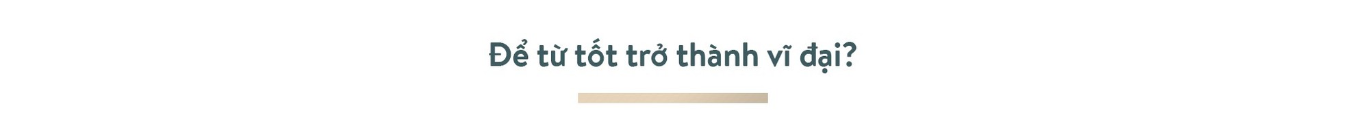 Ông Phạm Nhật Vượng: Thế giới phải biết Việt Nam trí tuệ, đẳng cấp ảnh 25