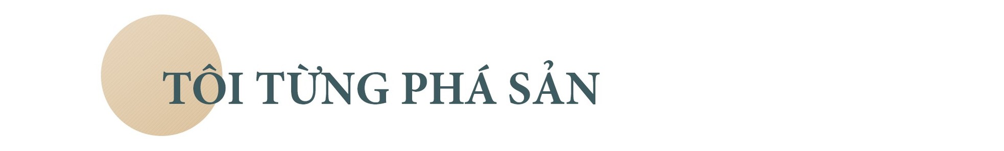 Ông Phạm Nhật Vượng: Thế giới phải biết Việt Nam trí tuệ, đẳng cấp ảnh 28