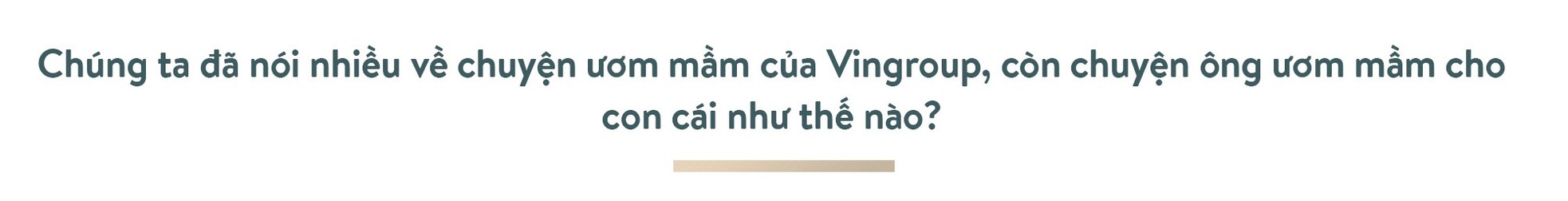 Ông Phạm Nhật Vượng: Thế giới phải biết Việt Nam trí tuệ, đẳng cấp ảnh 36