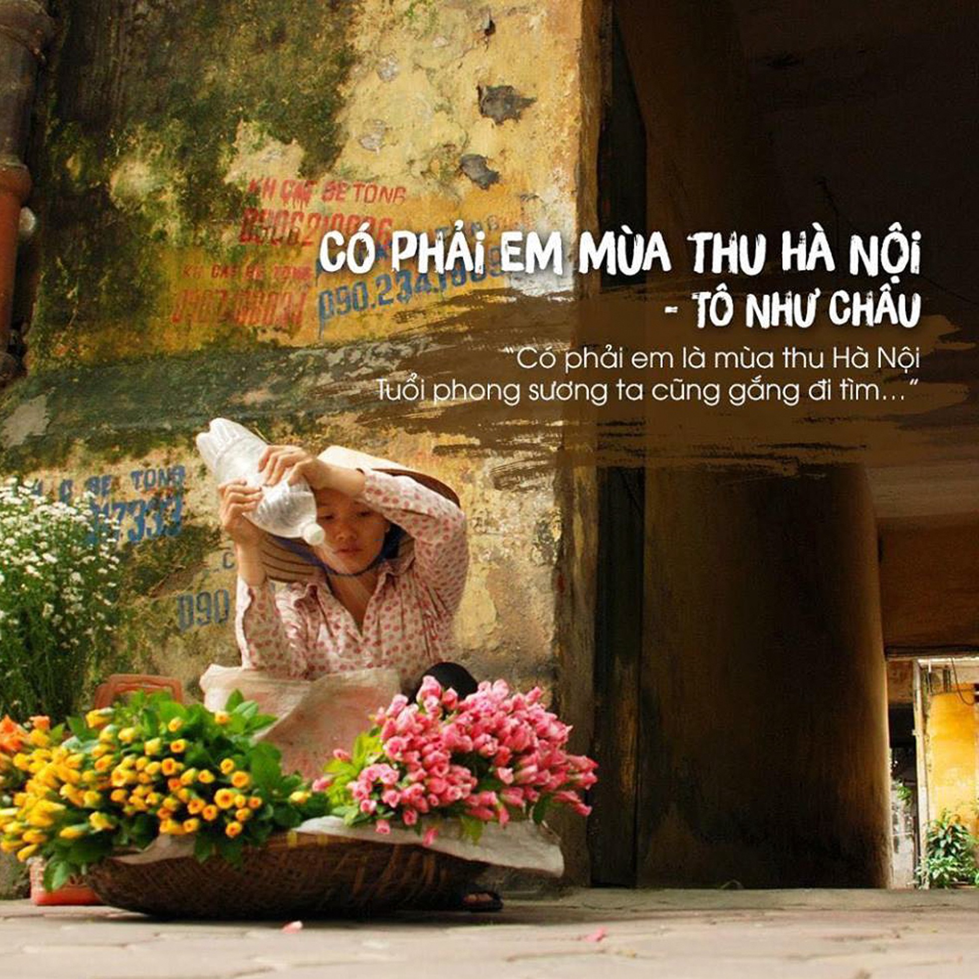 Người đuổi theo ánh sáng để bắt những khoảnh khắc đẹp nhất Hà Nội ảnh 7