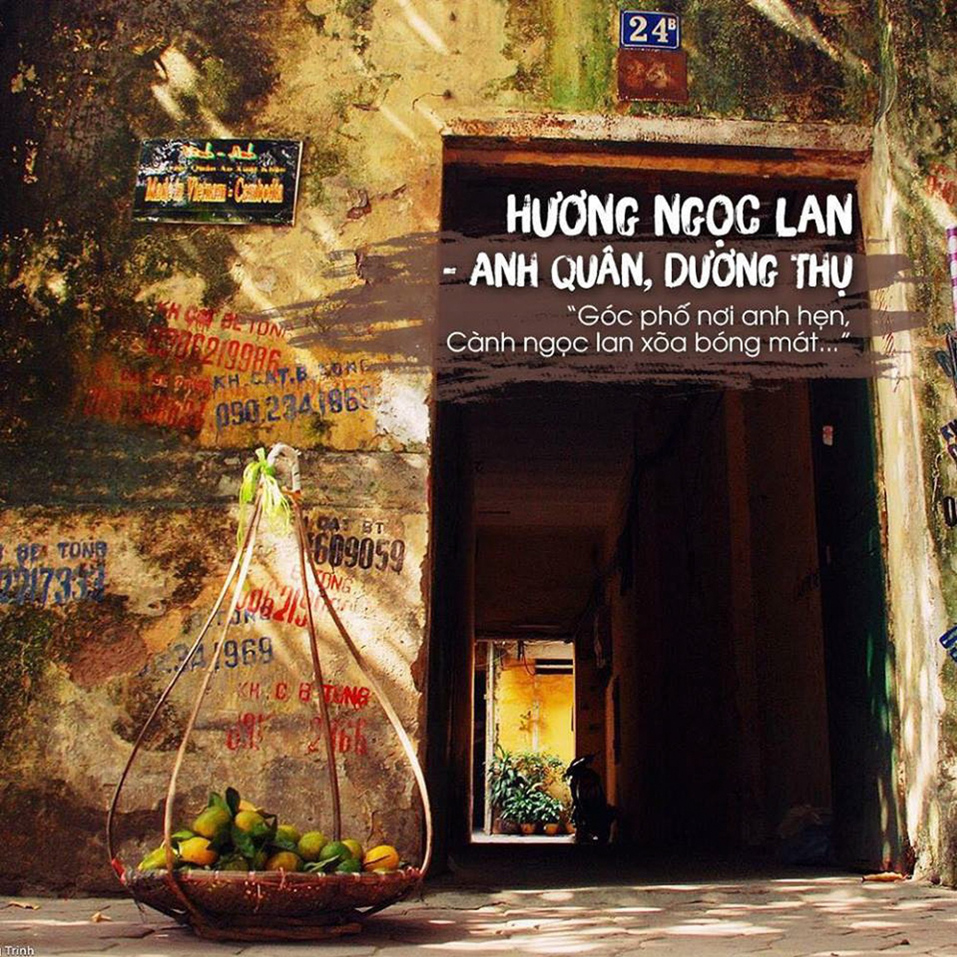 Người đuổi theo ánh sáng để bắt những khoảnh khắc đẹp nhất Hà Nội ảnh 5