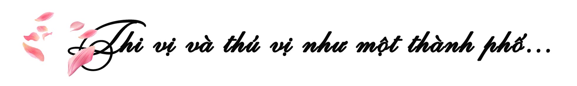 Người đuổi theo ánh sáng để bắt những khoảnh khắc đẹp nhất Hà Nội ảnh 3