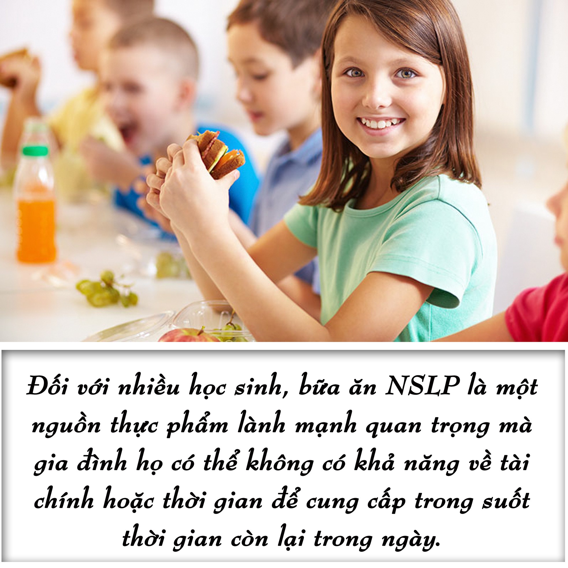 Chính sách thực phẩm tốt hơn cho trẻ em ảnh 2