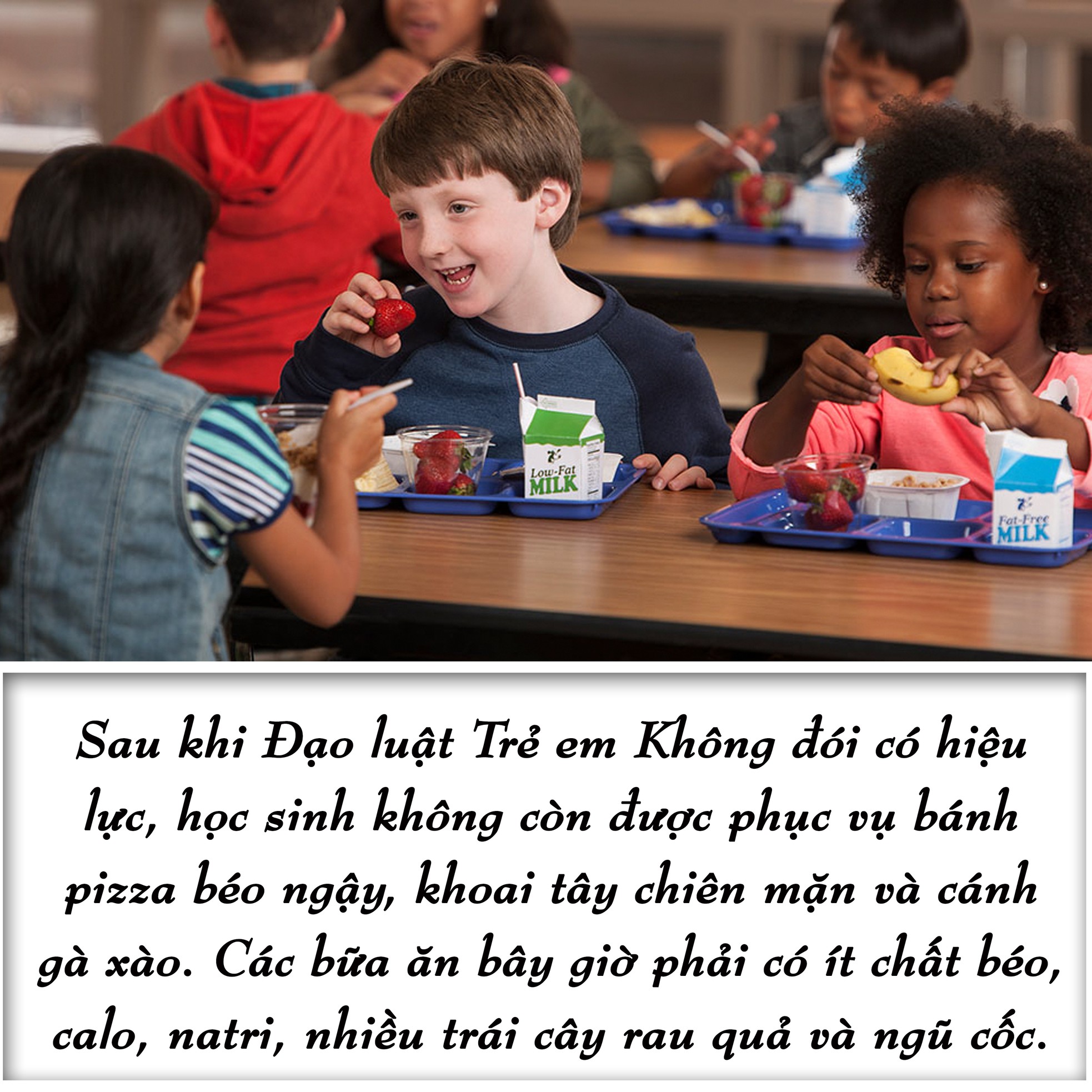 Chính sách thực phẩm tốt hơn cho trẻ em ảnh 5