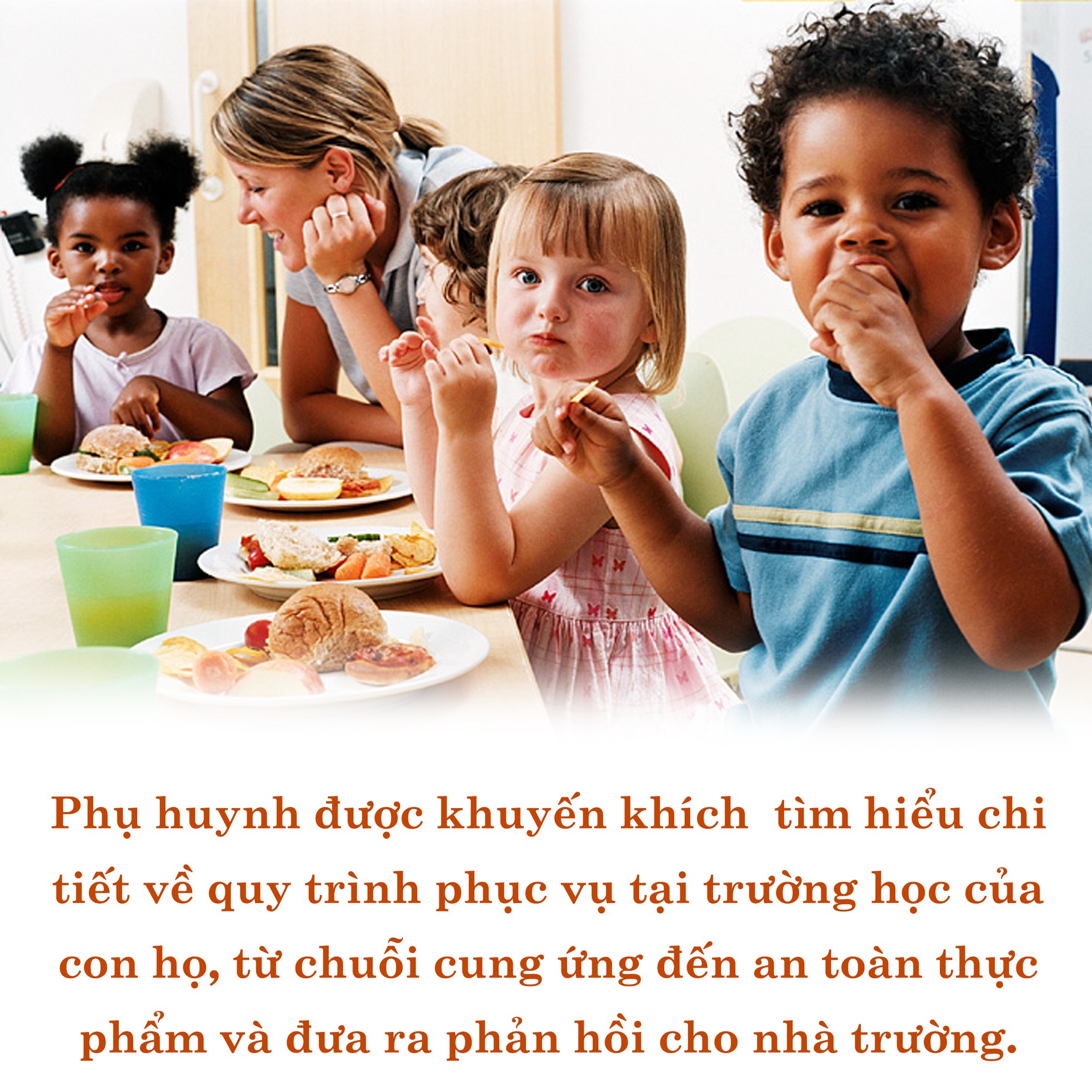 'Cách mạng hóa bữa ăn' trường học ảnh 4