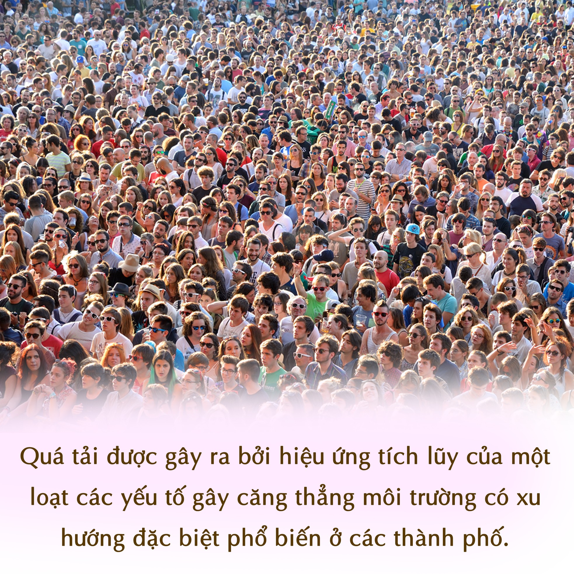 Quá tải đô thị đang diễn ra trên toàn cầu? ảnh 3