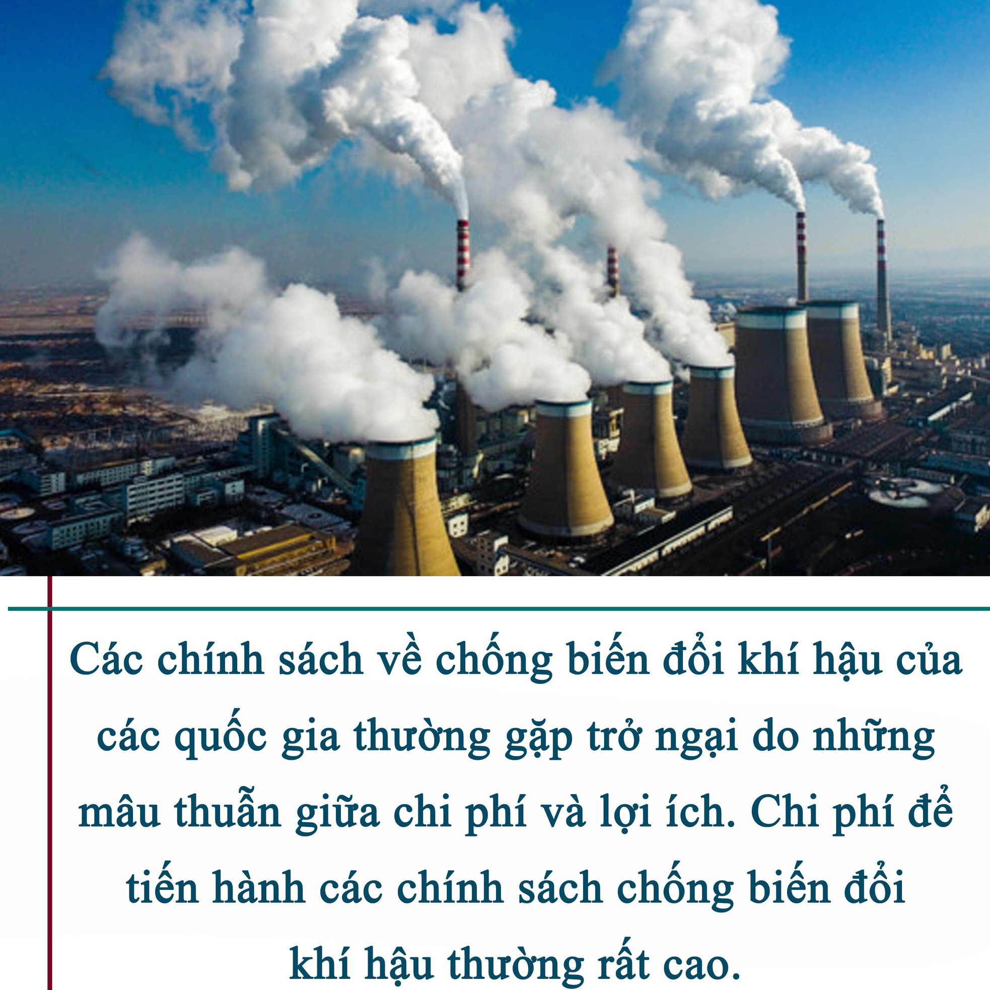 Chống biến đổi khí hậu - Mệnh lệnh từ giới trẻ ảnh 3