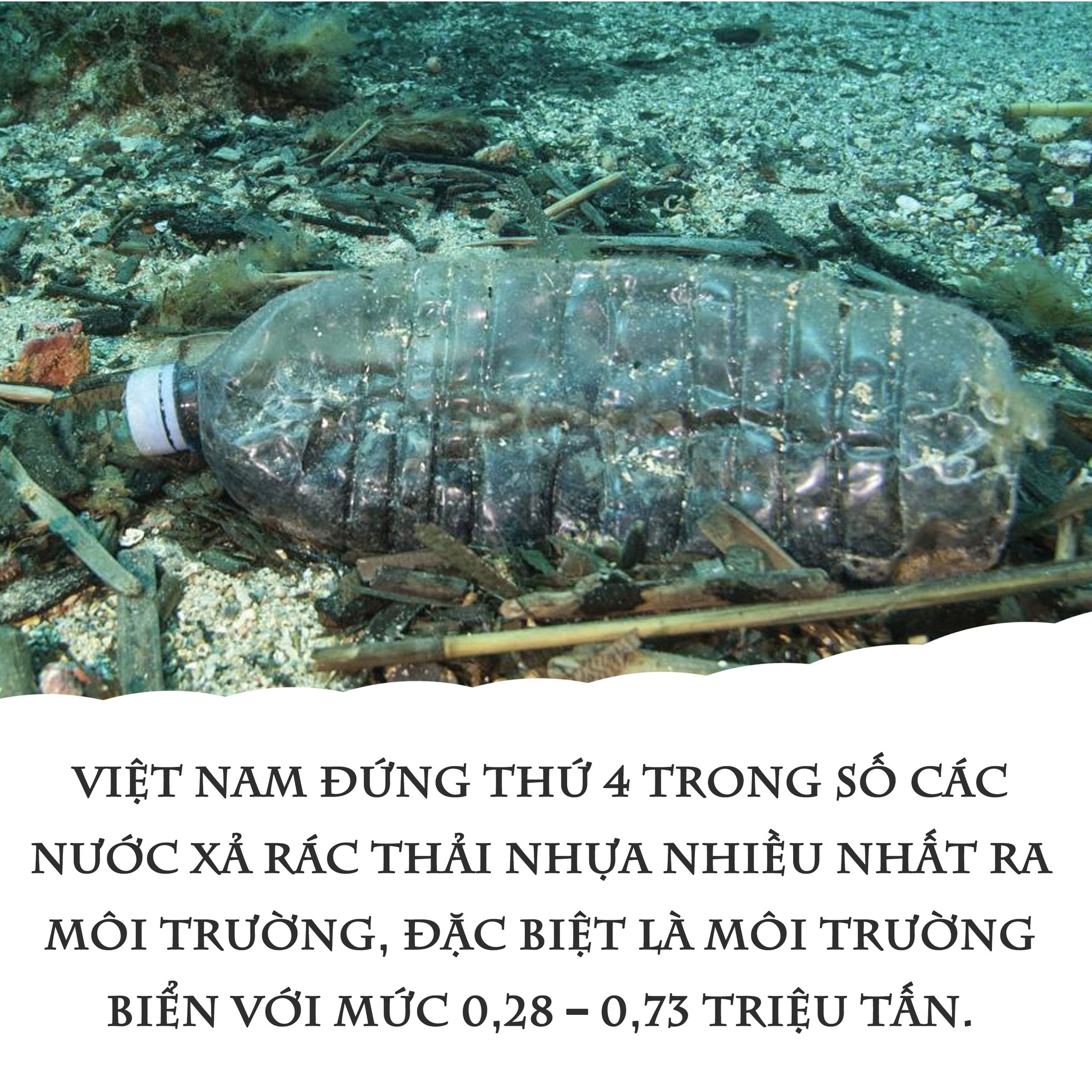 ​Thiên đường du lịch - thiên đường rác nhựa? ảnh 1