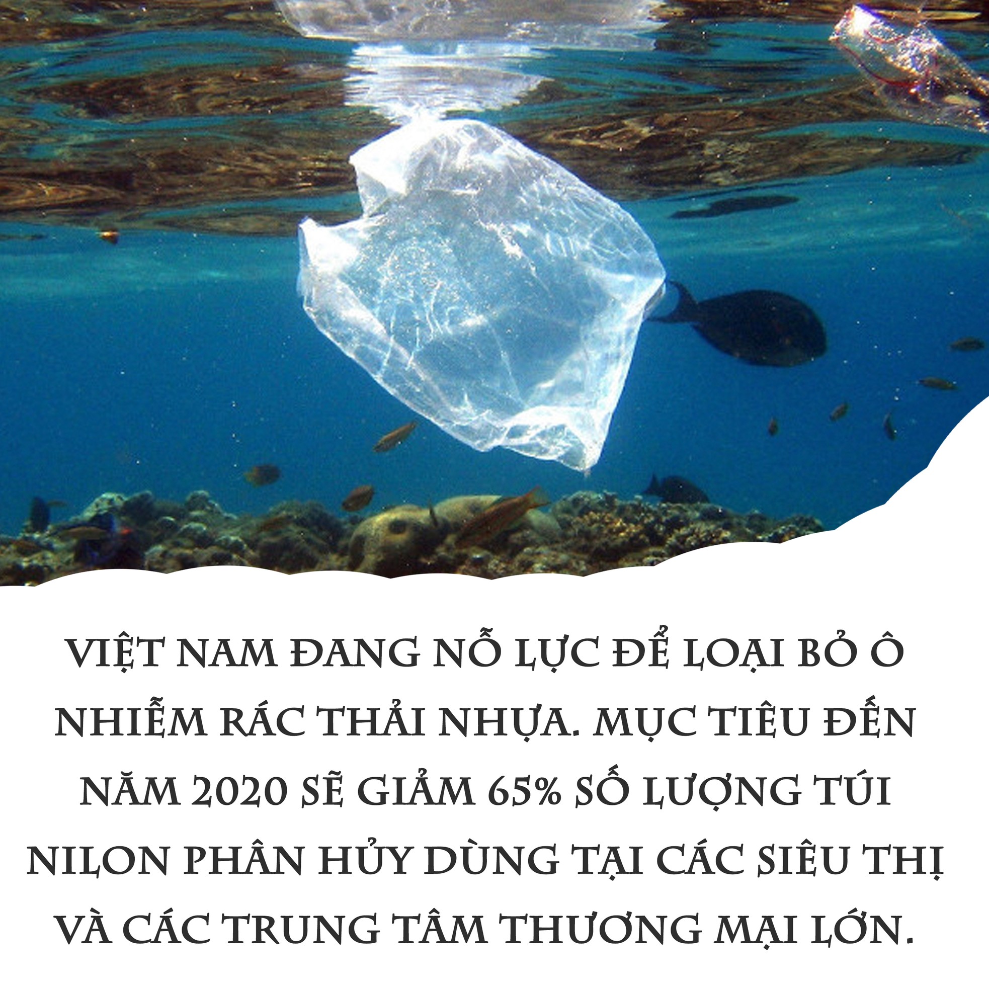 ​Thiên đường du lịch - thiên đường rác nhựa? ảnh 3