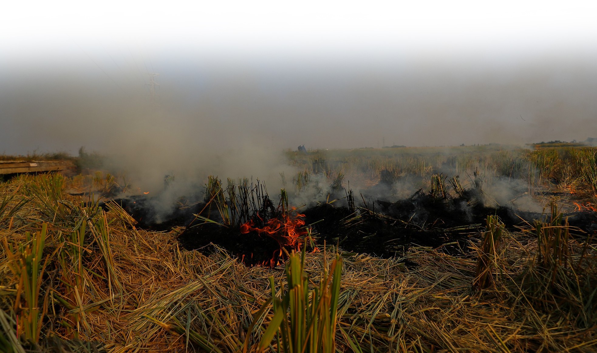 Chạy đâu cho hết bụi? ảnh 5