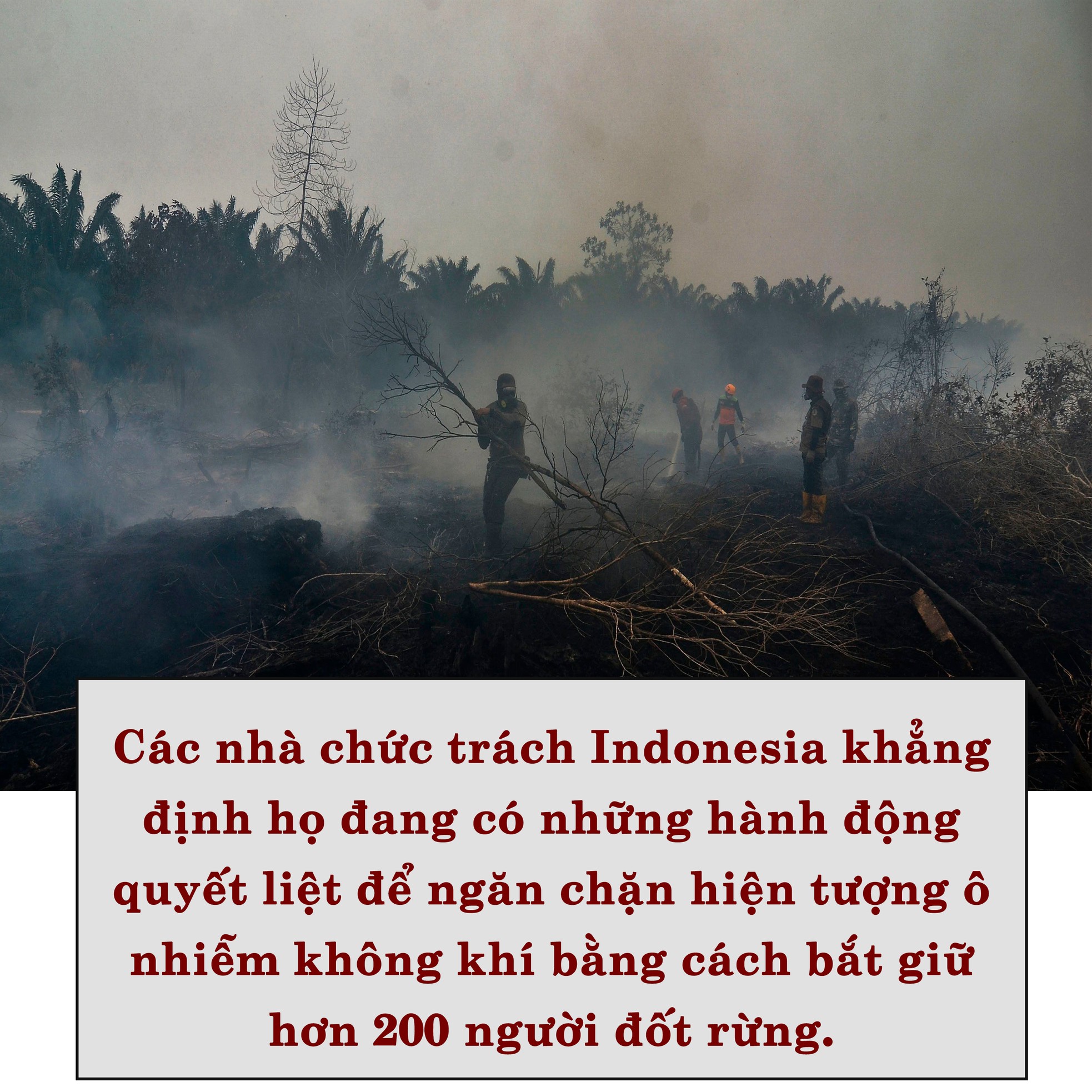 Khói bụi 'Bóng ma' ám ảnh Đông Nam Á ảnh 4