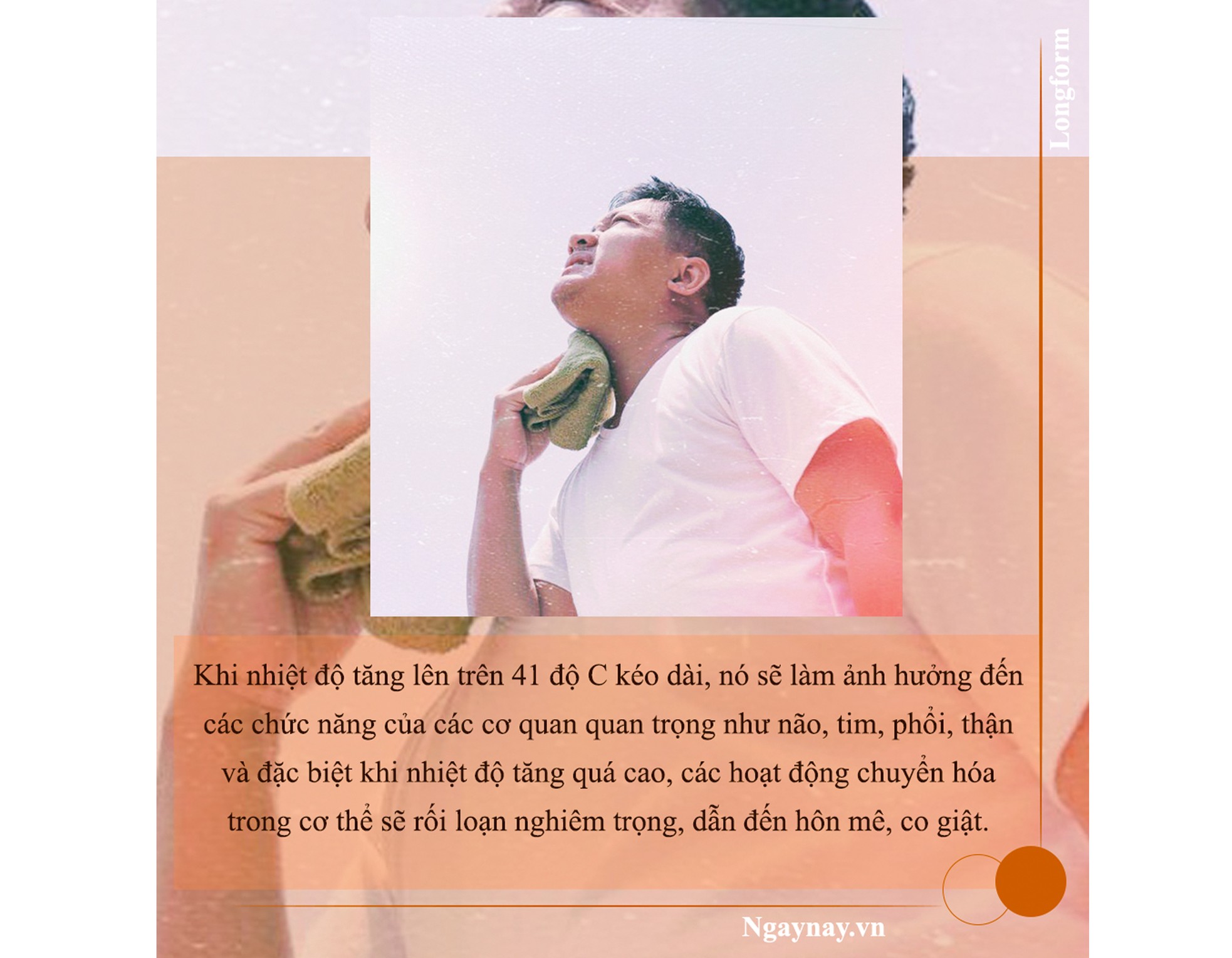 Sống sót qua mùa hè nóng như thiêu như đốt ảnh 3