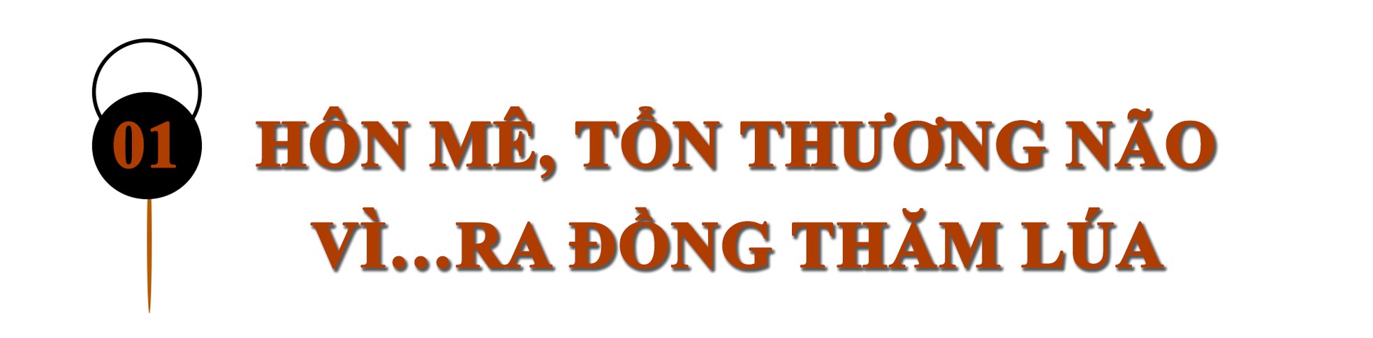 Sống sót qua mùa hè nóng như thiêu như đốt ảnh 1