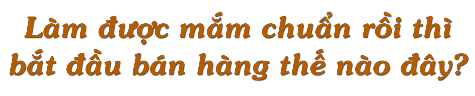 CEO Lê Anh: Khởi nghiệp đầy lãng mạn với… nước mắm ảnh 4