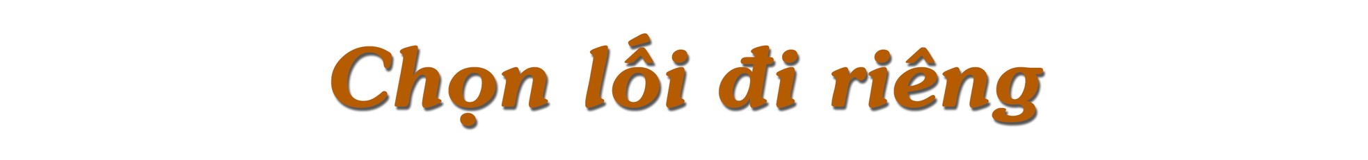 CEO Lê Anh: Khởi nghiệp đầy lãng mạn với… nước mắm ảnh 6