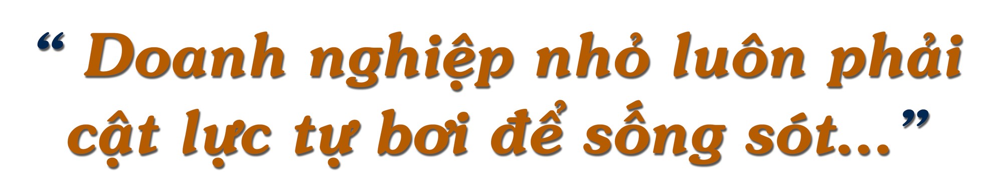 CEO Lê Anh: Khởi nghiệp đầy lãng mạn với… nước mắm ảnh 9