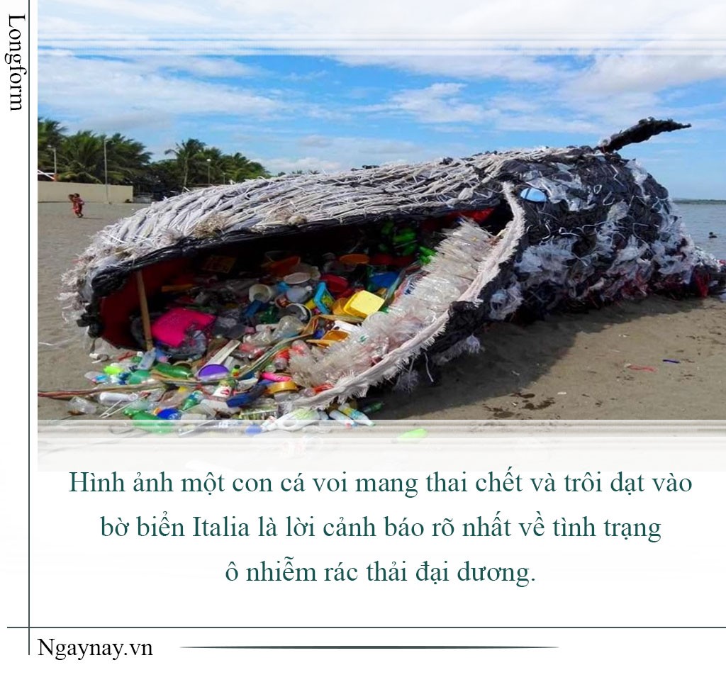 Người đi, rác ở lại ảnh 6