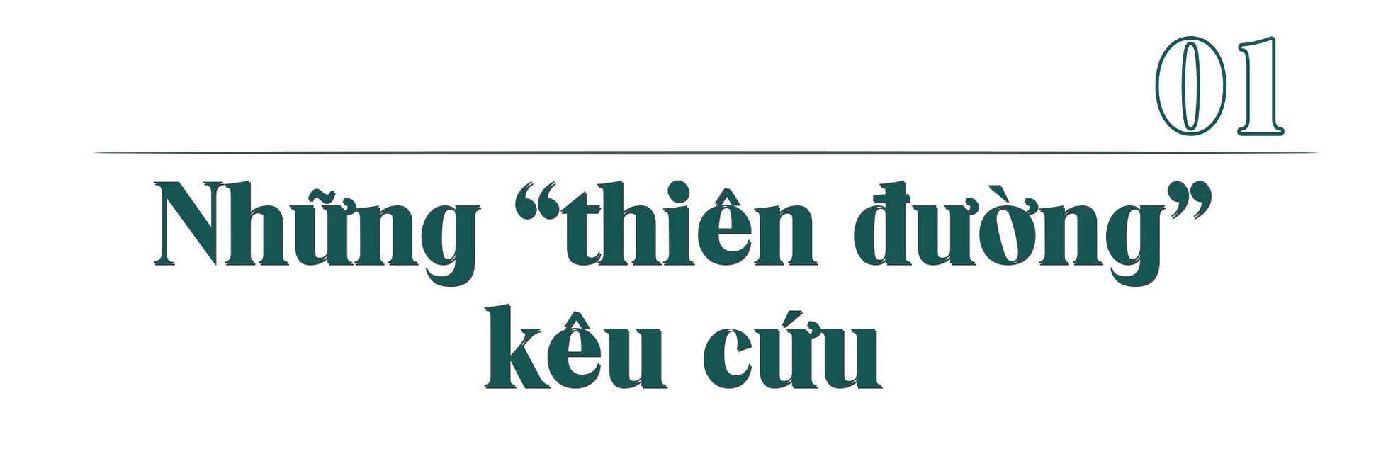 Người đi, rác ở lại ảnh 1