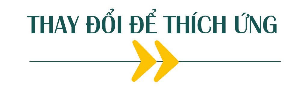 Công nghệ giáo dục thời COVID ảnh 1