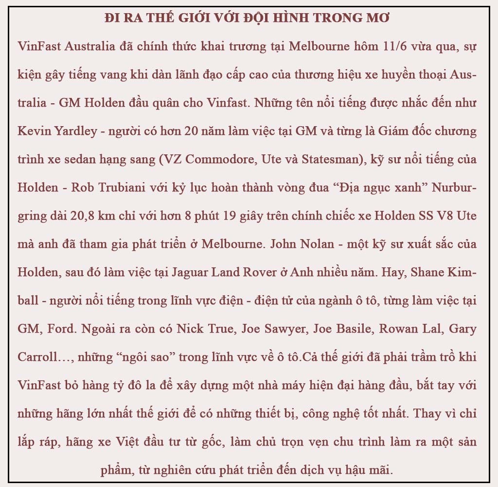 Sức hút nào từ ô tô Vinfast? ảnh 9