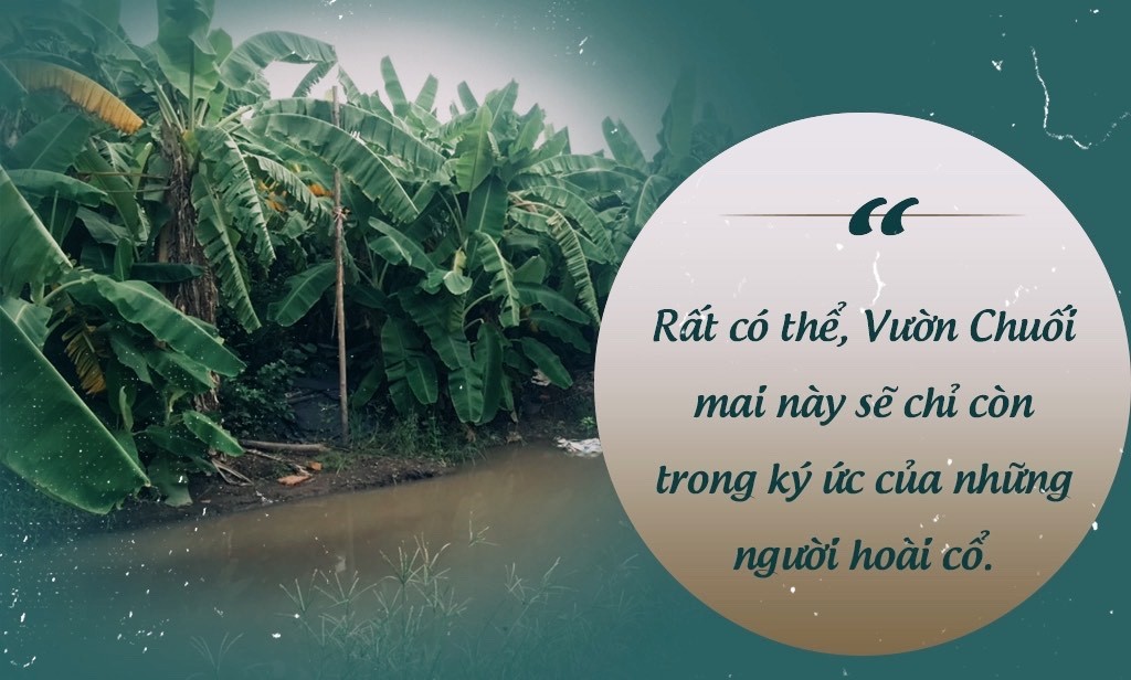 Di chỉ khảo cổ Vườn Chuối Hà Nội: Những tiếng thở dài khắc khoải ảnh 8