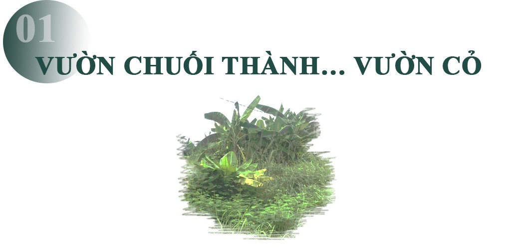 Di chỉ khảo cổ Vườn Chuối Hà Nội: Những tiếng thở dài khắc khoải ảnh 1