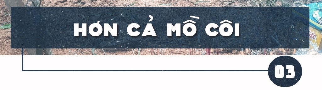 Bên sườn núi Trà Leng… ảnh 7