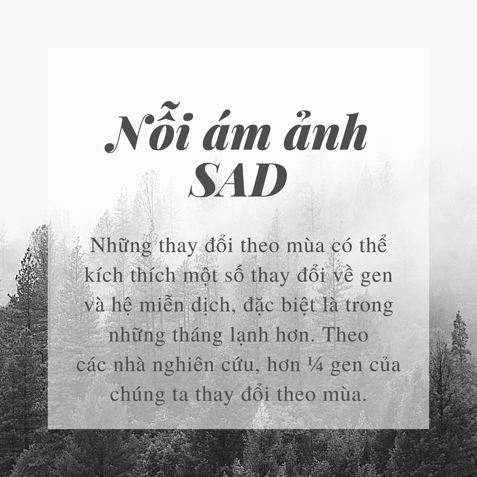 Mùa Đông và nỗi ám ảnh của SAD ảnh 8