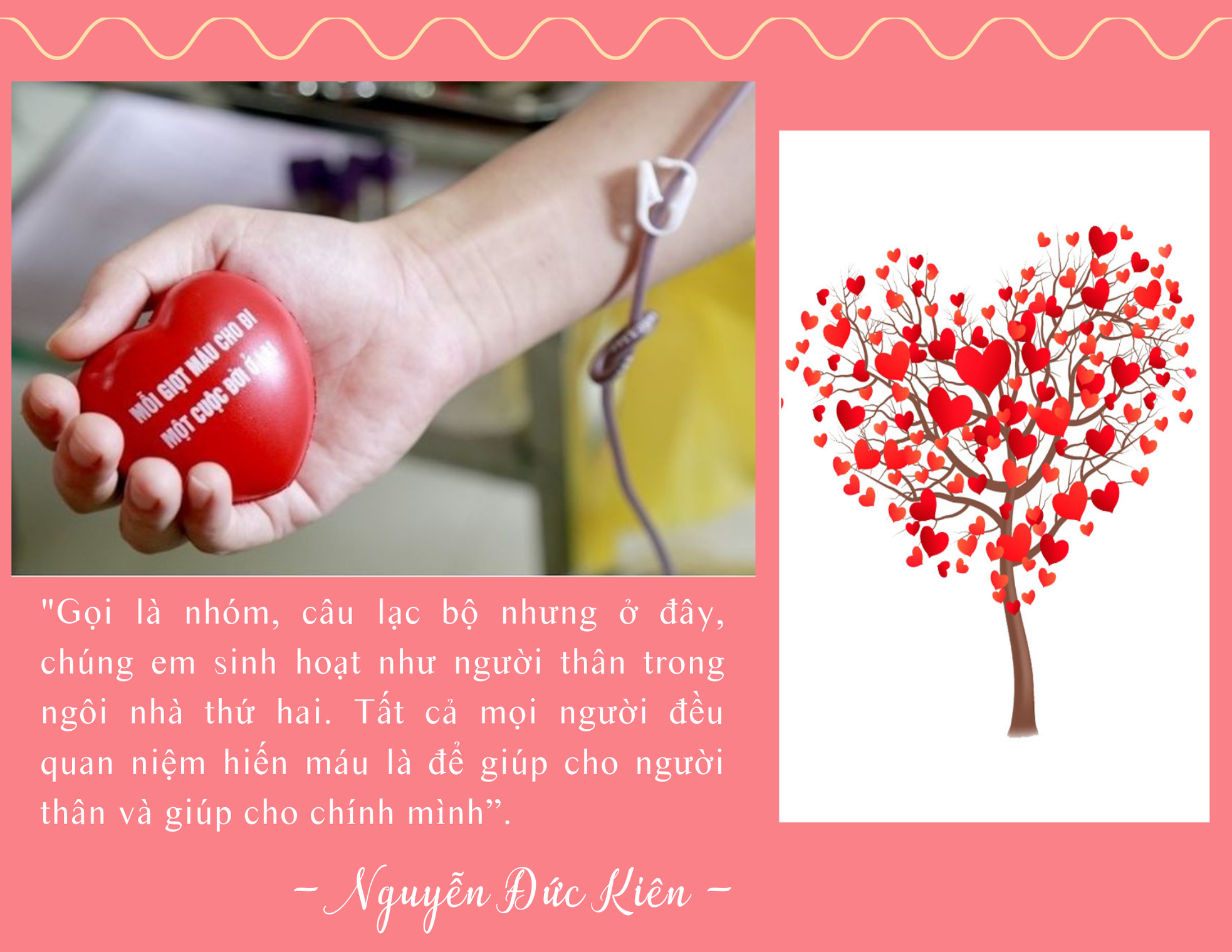 Chuyện “cho đi” của người có nhóm máu đặc biệt ảnh 3